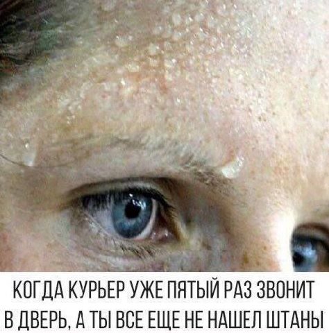 КОГДА КУРЬЕР УЖЕ ПЯТЫЙ РАЗ ЗВОНИТ В ДВЕРЬ, А ТЫ ВСЕЕЩЕНЕ НАШЕЛ ШТАНЫ