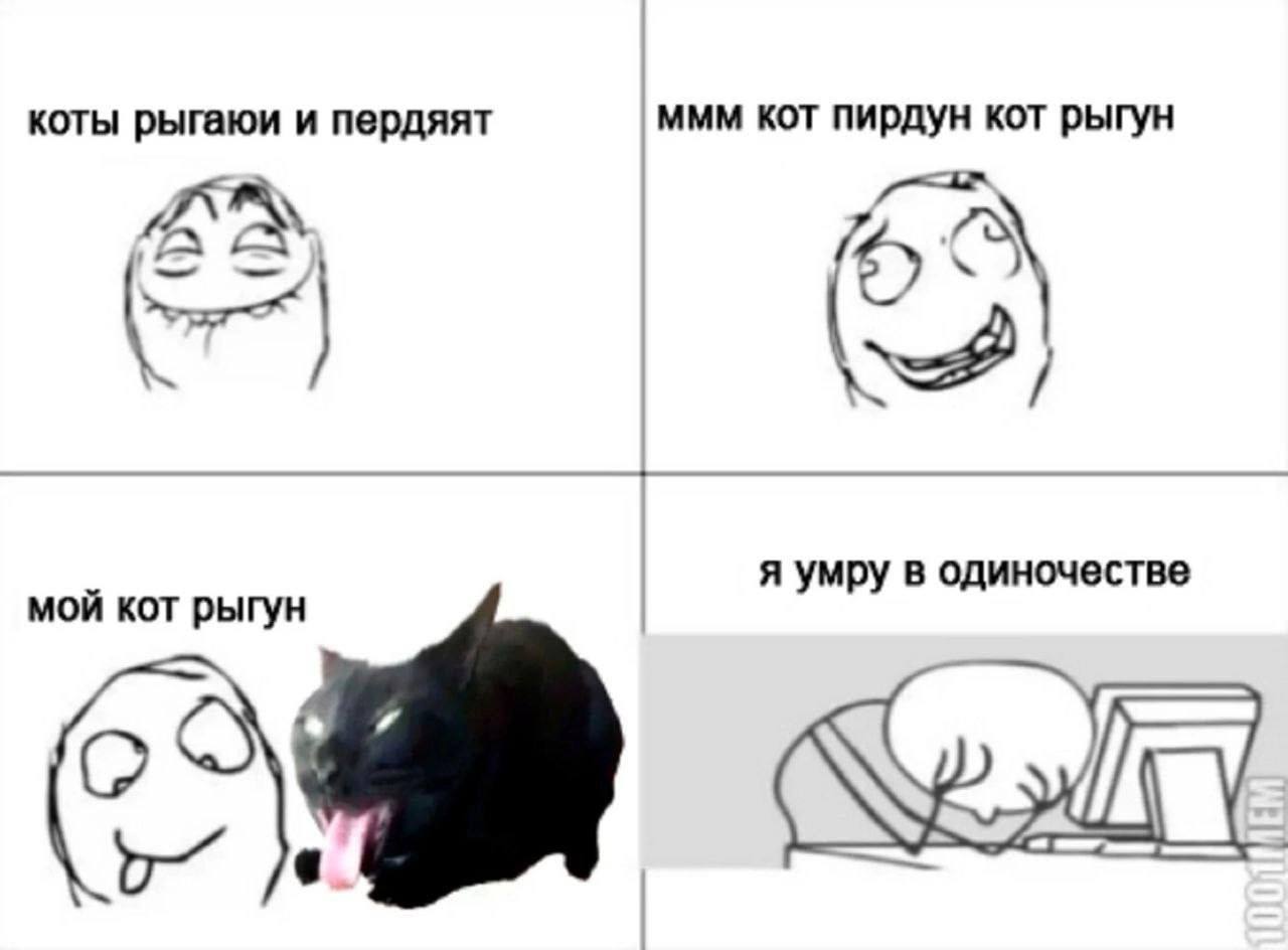 коты рыгаюи и пердяят ммм кот пирдун кот рыгун AS я умру в одиночестве мой кот рыгун