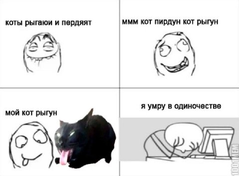 коты рыгаюи и пердяят ммм кот пирдун кот рыгун AS я умру в одиночестве мой кот рыгун