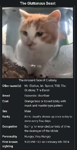 The Gluttonous Beast А 4 The innocent face of Gluttony Other name(s) Glutton, Speed, TGB, The Gluttony, The Beast Breed Domestic Shorthair Coat Orange bicolor ticked tabby with mask and mantle type pa