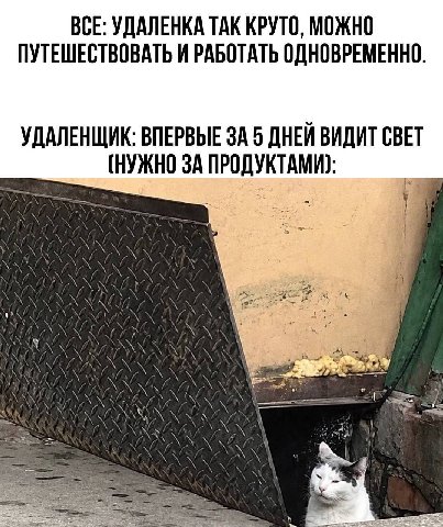 ВСЕ: УДАЛЕНКА ТАК КРУТО, МОЖНО ПУТЕШЕСТВОВАТЬ И РАБОТАТЬ ОДНОВРЕМЕННО. УДАЛЕНЩИК: ВПЕРВЫЕ ЗА 5 ДНЕЙ ВИДИТ СВЕТ (НУЖНО 3A ПРОДУКТАМИ?: ANN i