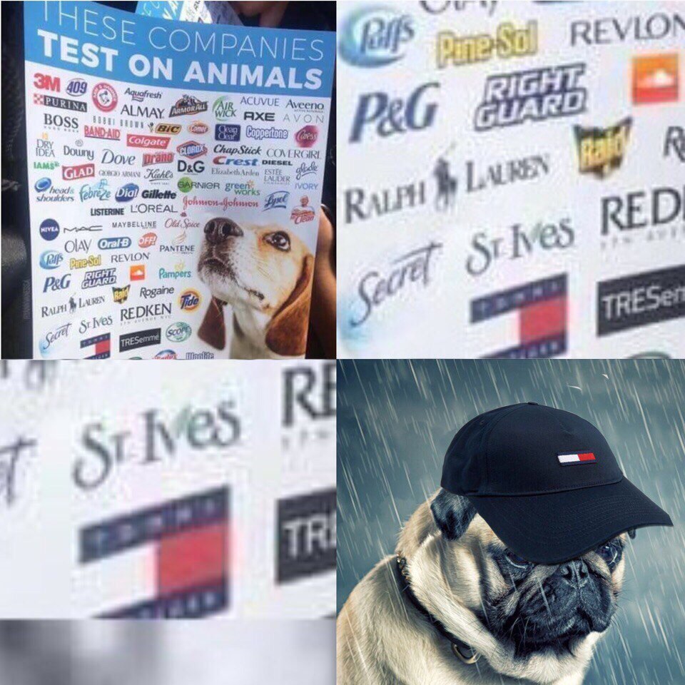 BSE ВЕУК COMPANIES ON ANIMALS Oss 2 Dove К as a