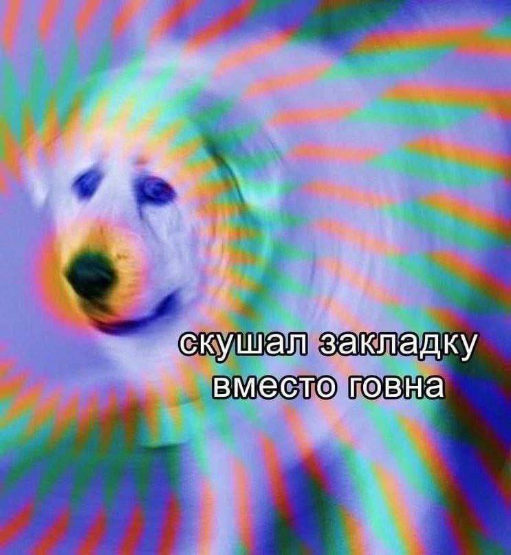 скушал закладку вместо говна
