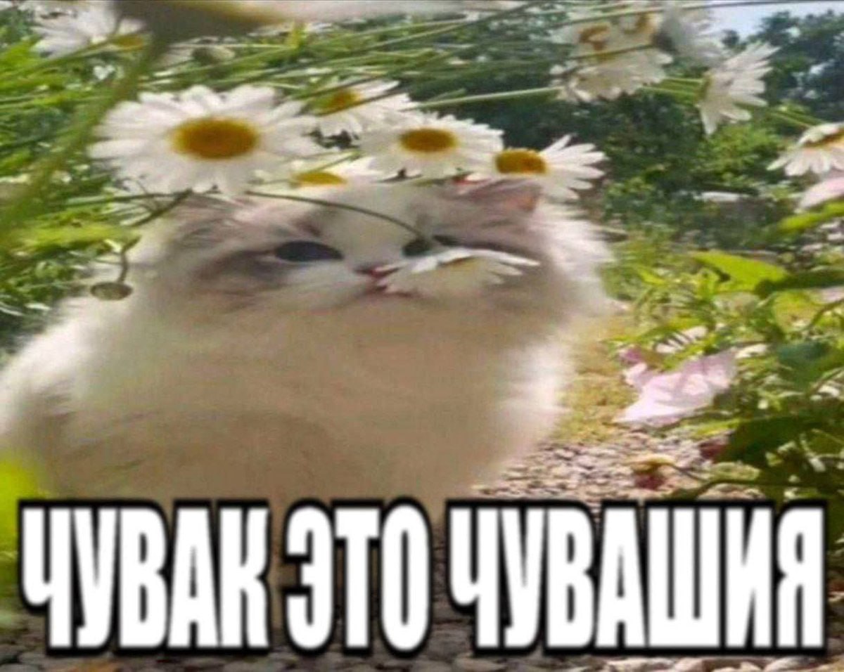 ЧУВАШИЯ