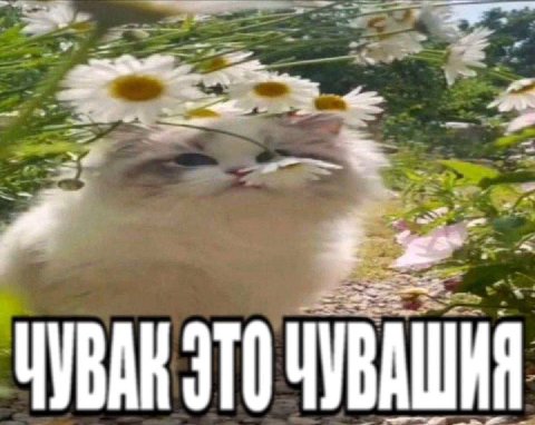 ЧУВАШИЯ