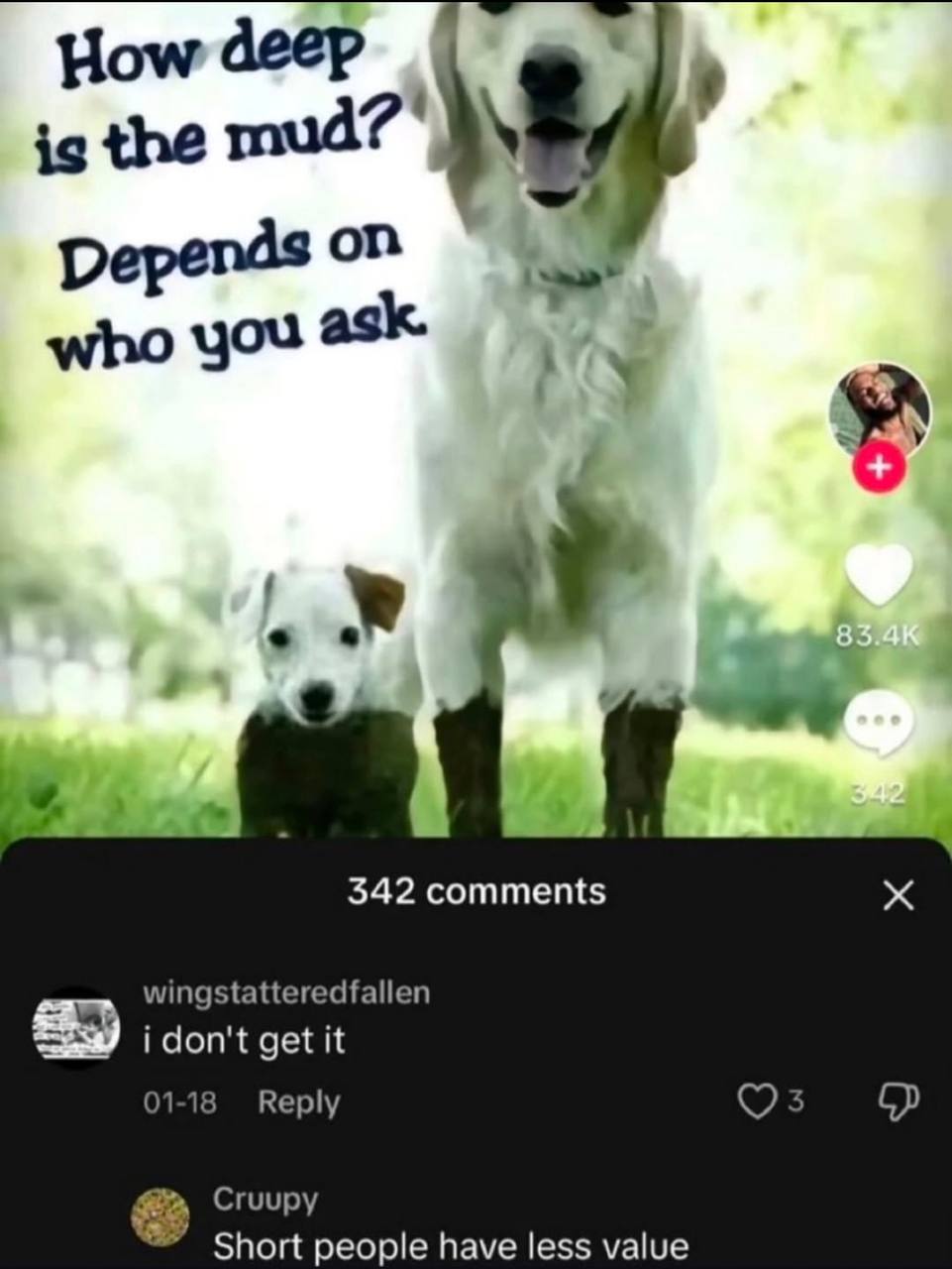 Я Ном деер the who you 342 comments wingstatteredfallen mms i don't get it 01-18 Reply Cruupy Short people have less value