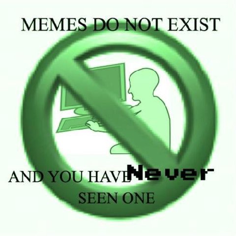 МЕМ EXIST