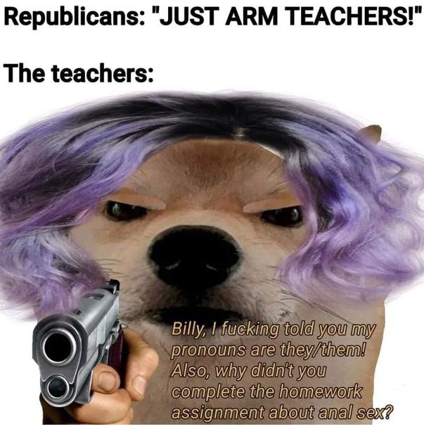 Republicans: "JUST ARM TEACHERS!" The teachers: 4 a rou my pronouns Also, Of plete assignment SEX?