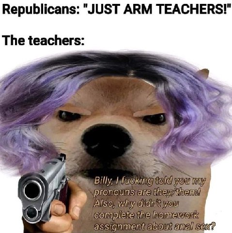 Republicans: "JUST ARM TEACHERS!" The teachers: 4 a rou my pronouns Also, Of plete assignment SEX?