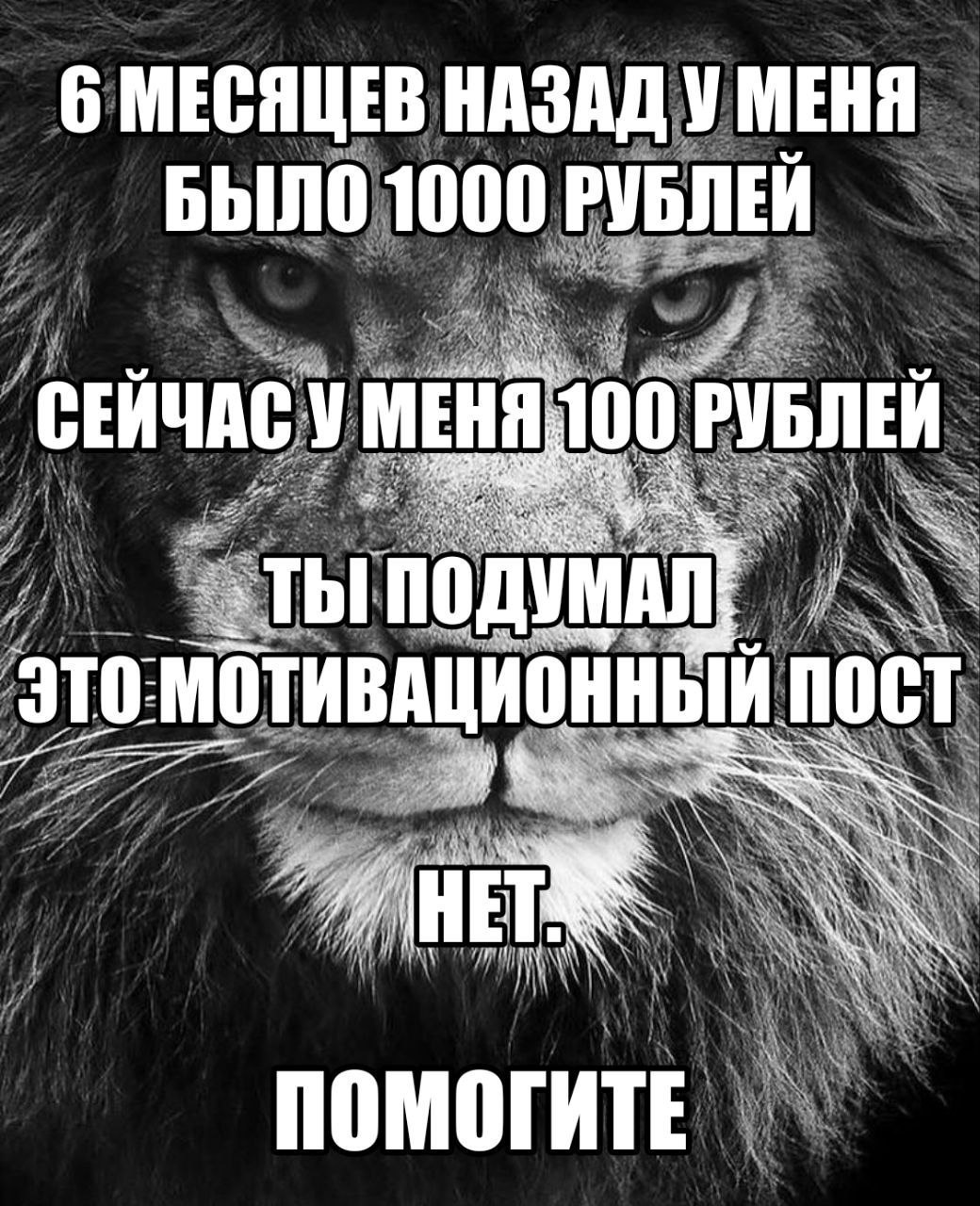 6 МЕСЯЦЕВ НАЗАД У МЕНЯ БЫЛО 1000 УМЕНЯ 00 РУБЛЕЙ У УМАЛ Thi nog это пост НЕТ Я my ПОМОГИТЕ