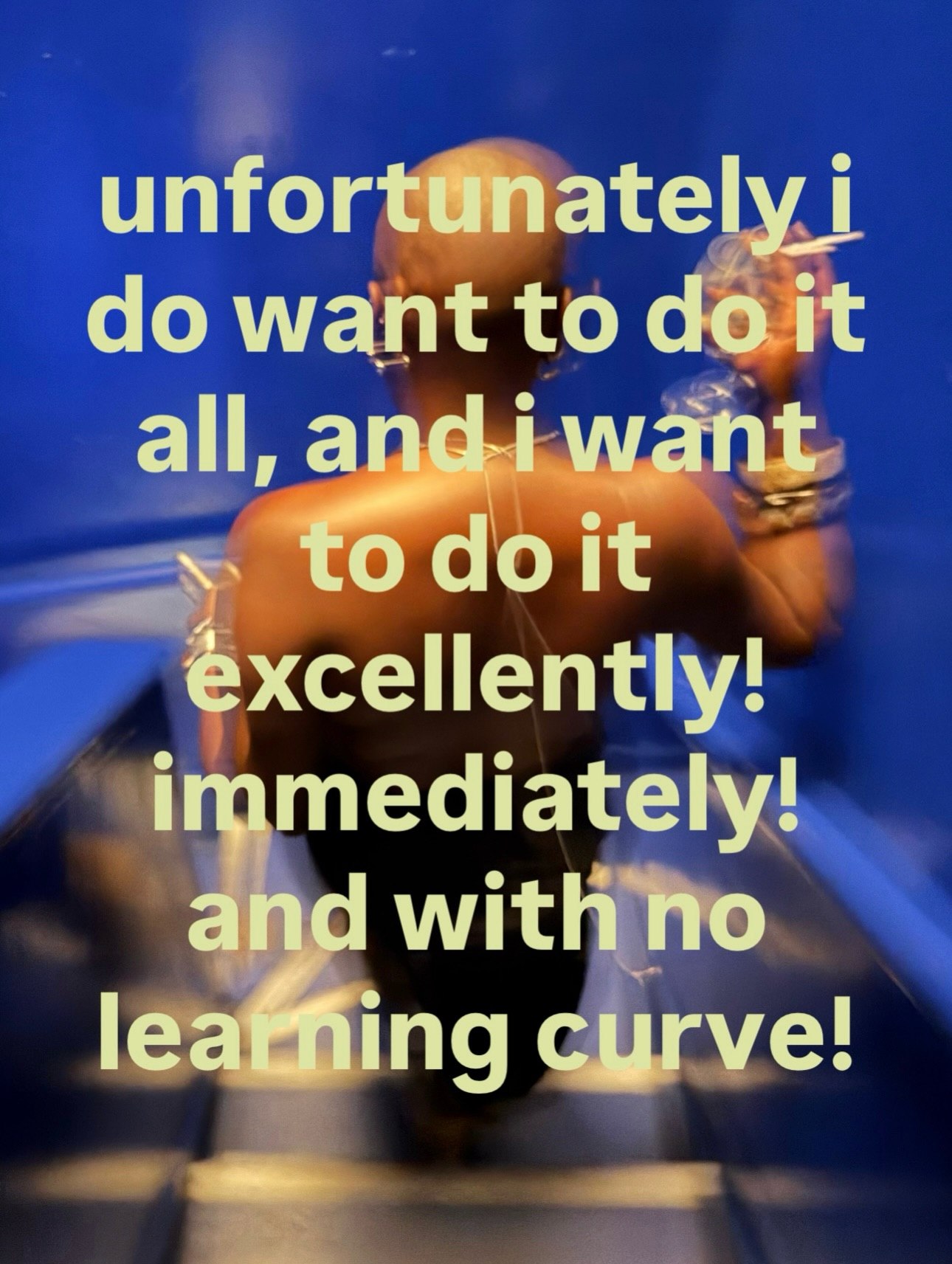 unfortunately 1 want to it all, want todoit excellently! immediately! and with no leaffiing curve!