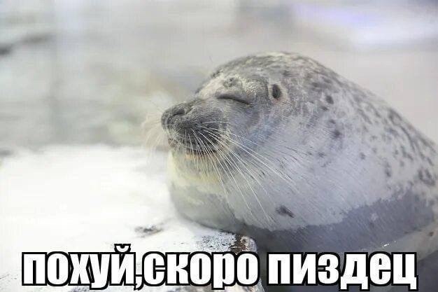 я AN a у СКО пиздец