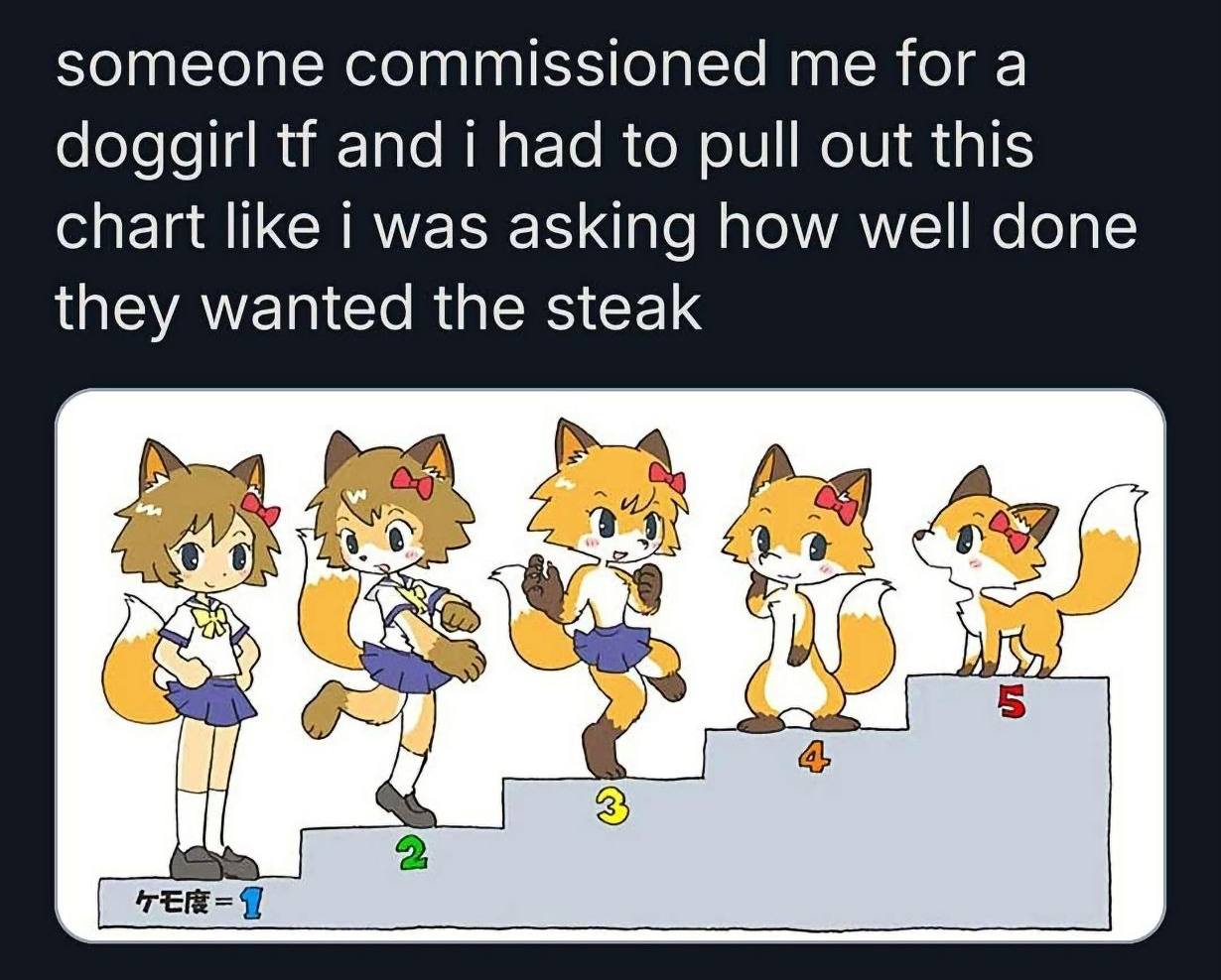 someone commissioned me for a doggirl and i had to pull out this chart like i was asking how well done they wanted the steak