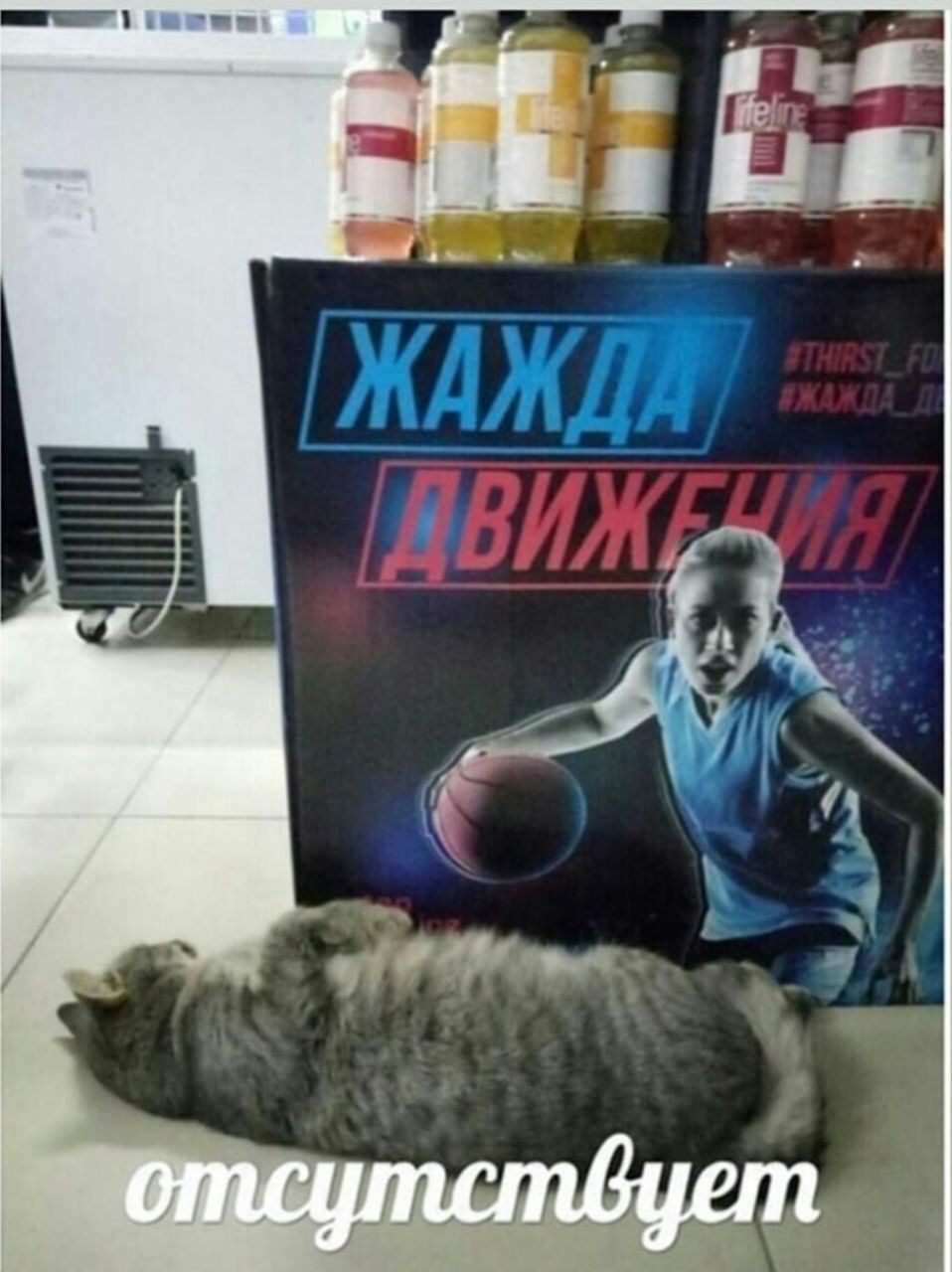 отсутствует