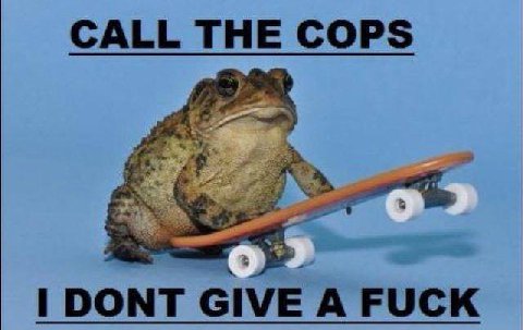 CALL THE COPS у: a an. 3 DONT GIVE А FUCK
