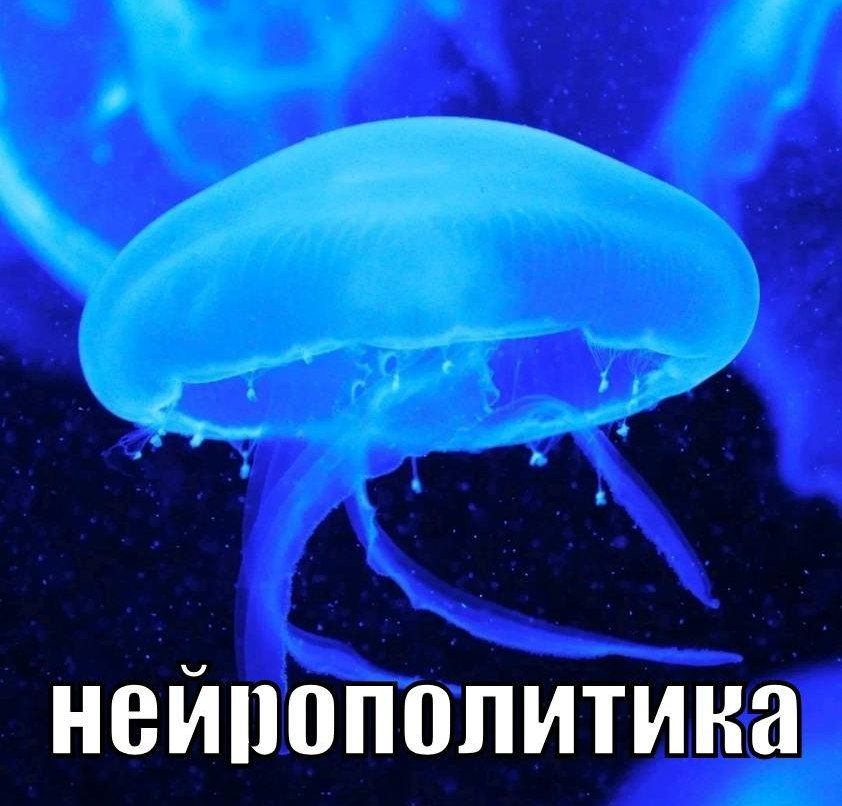 нейропол итика