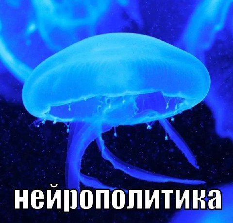 нейропол итика