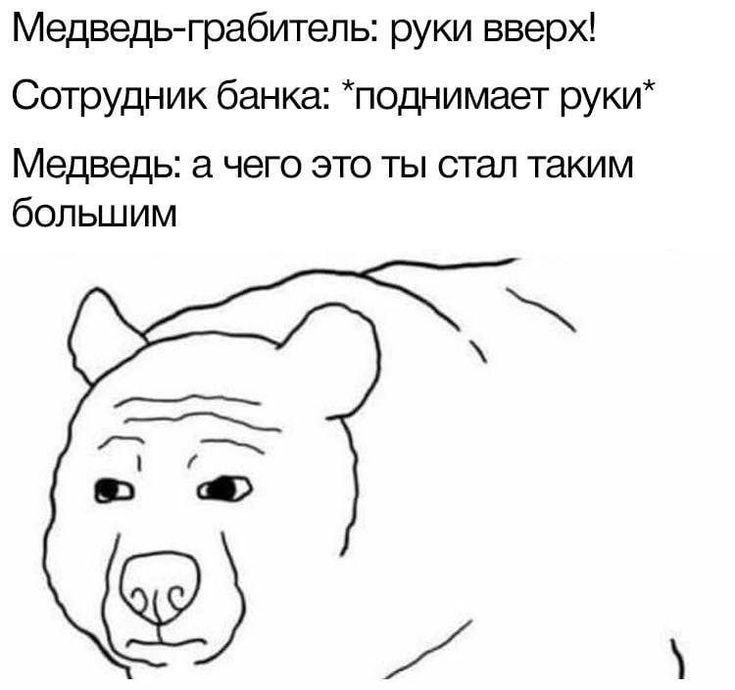 Медведь-грабитель: руки вверх! Сотрудник банка: *поднимает руки* Медведь: а чего это ты стал таким большим a> a