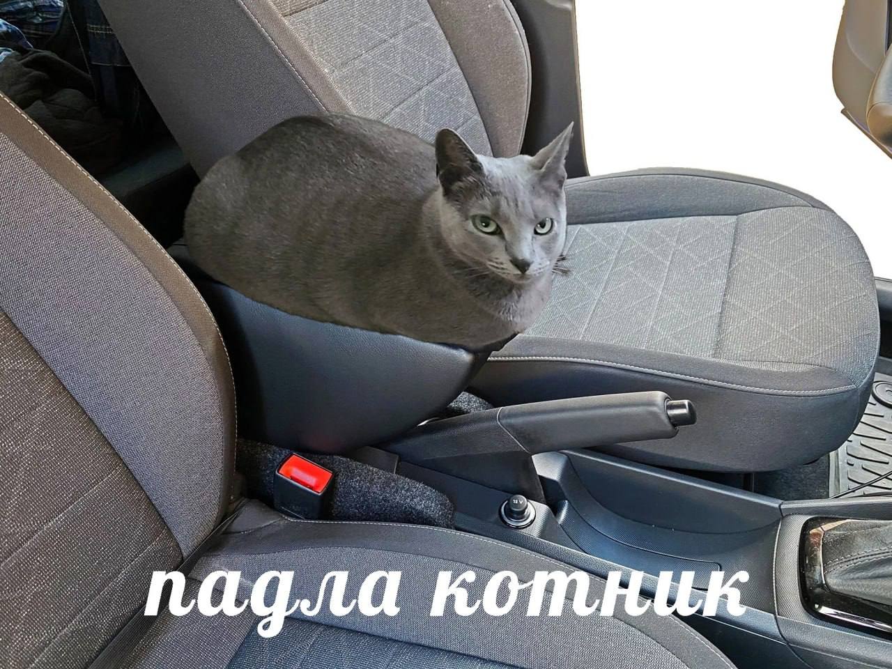 падла