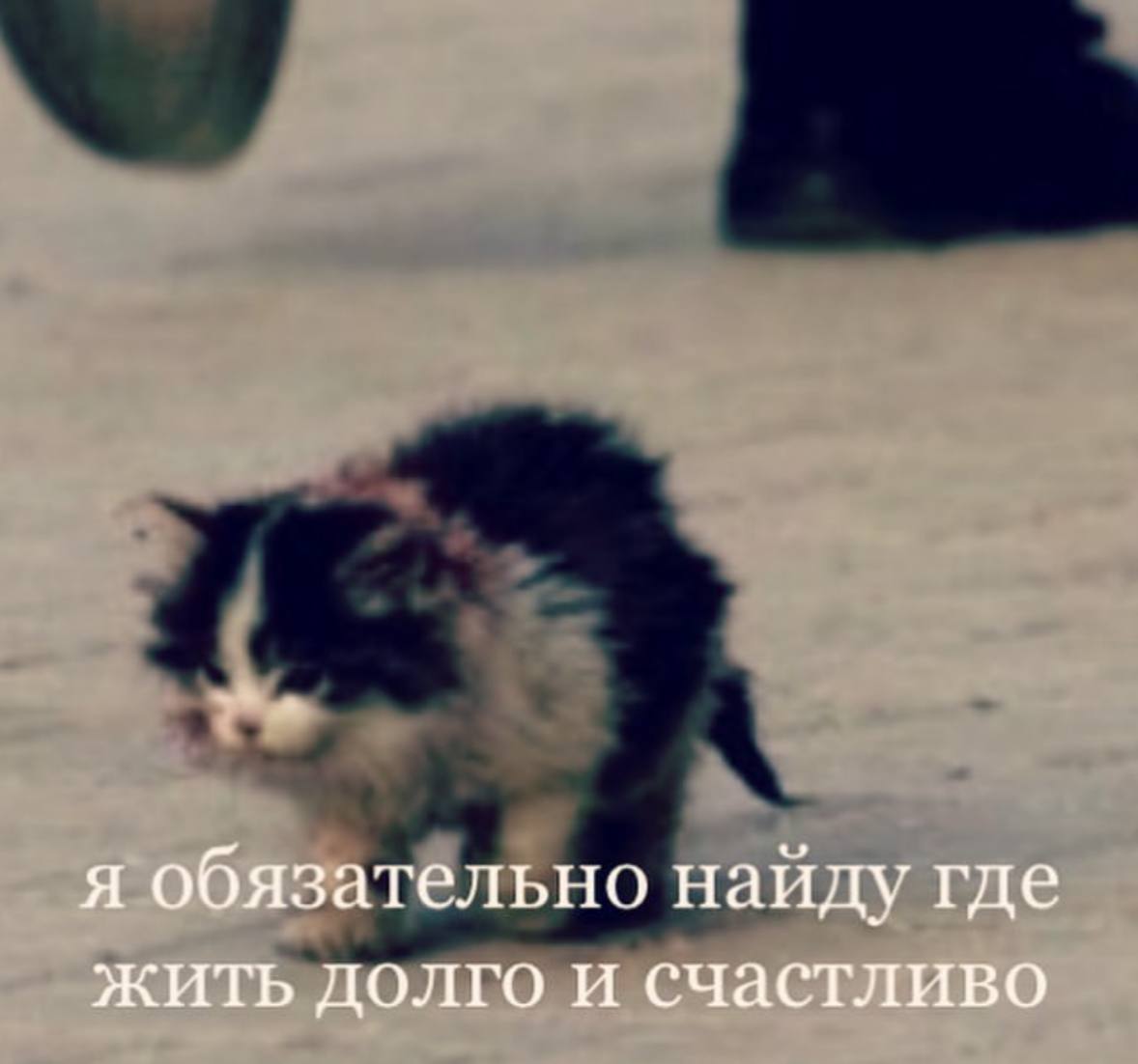 я обязательно найду где жить долго и счастливо