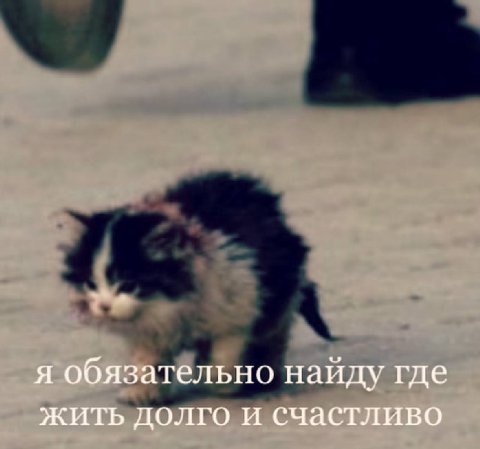 я обязательно найду где жить долго и счастливо