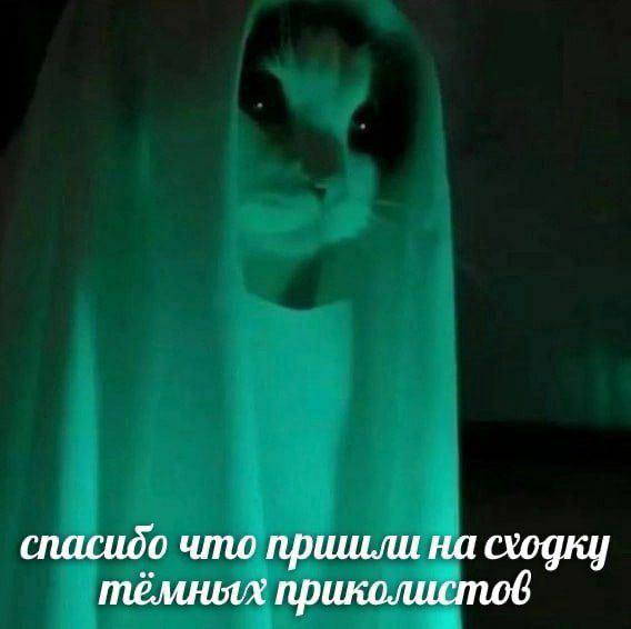 спасидо что пришли на сходку тёмных приколистов