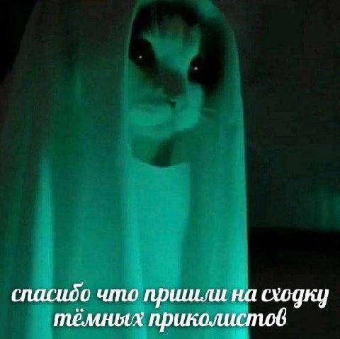 спасидо что пришли на сходку тёмных приколистов