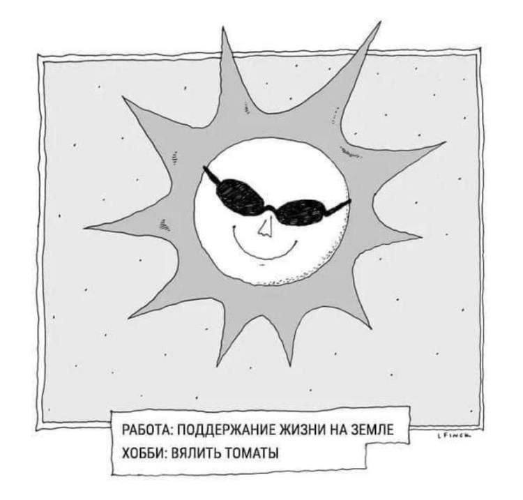 РАБОТА: ПОДДЕРЖАНИЕ ЖИЗНИ НА ЗЕМЛЕ ХОББИ: ВЯЛИТЬ ТОМАТЫ