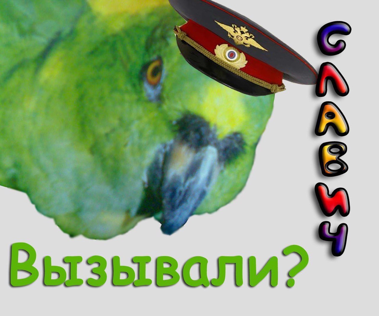 A Вызывали?