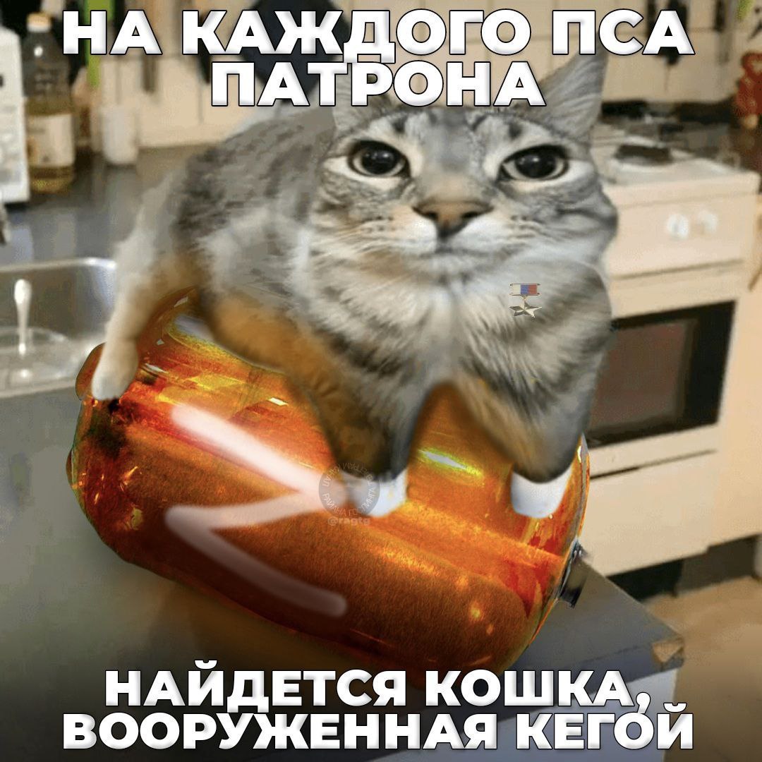 НА КАЖДОГО ПСА ПАТРОНА НАЙДЕТСЯ КОШКА, ВООРУЖЕННАЯ КЕГОЙ