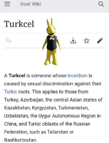 Incel Wiki Turkcel A Turkcel is someone whose inceldom is caused sexual discrimination against their Turkic roots. This applies to those from Turkey, Azerbaijan, the central Asian states of Kazakhstan