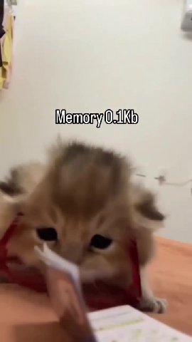 Memonyi0allkKts МетогуомКо Метогуом Ко