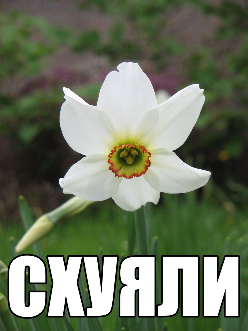 » а] Г ”