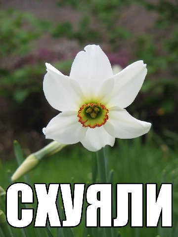 » а] Г ”