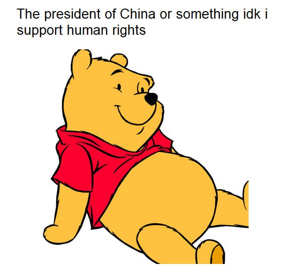 The president of China or something idk i support human rights