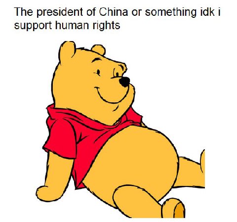 The president of China or something idk i support human rights
