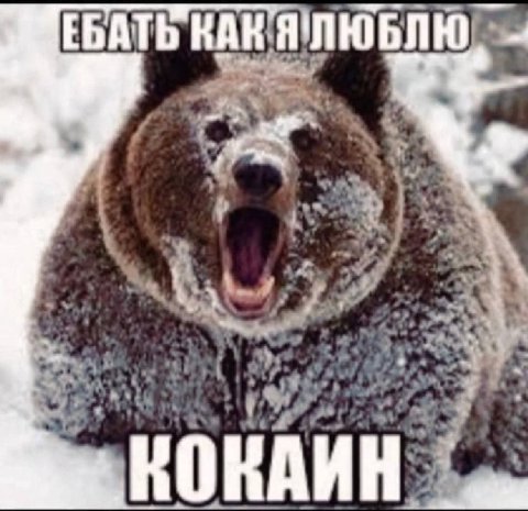 ЕБАТЬ КАК ЯЛЮБЛЮ