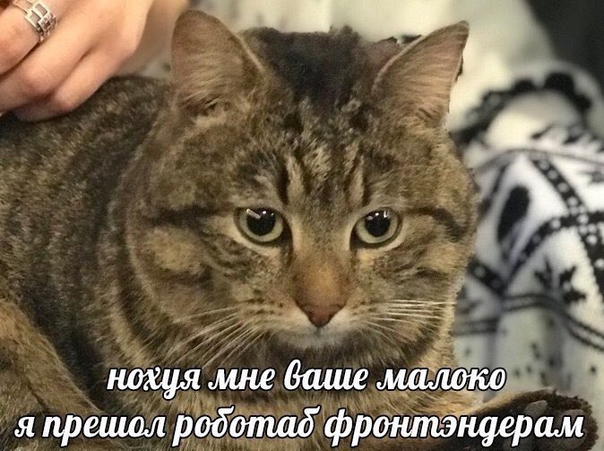 нохуя мне ваше малоко я прешол родотад фронтэндерам