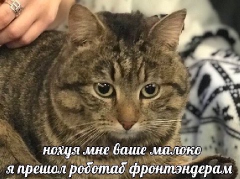 нохуя мне ваше малоко я прешол родотад фронтэндерам