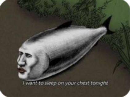 want to sleep on your chest tonight