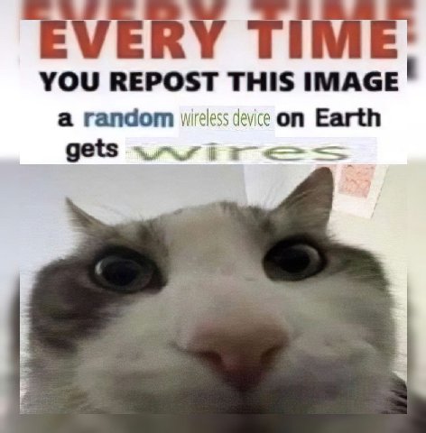 VERY YOU REPOST THIS IMAGE a random wireless device on Earth gets