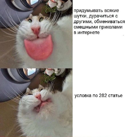 придумывать всякие шутки, дурачиться с другими, обмениваться смешными приколами в интернете условка по 282 статье