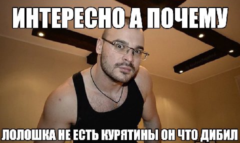 ИНТЕРЕСНО А ПОЧЕМУ ЛОЛОШКА НЕЕСТЬ КУРЯТИНЫ ОН ЧТО ДИБИЛ