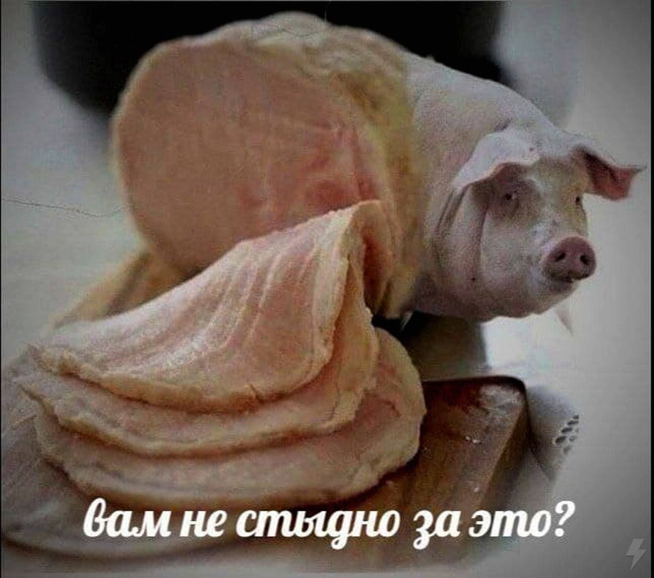вам не стьщно за это?