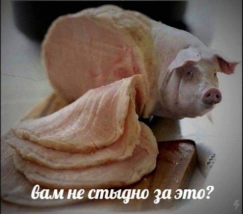 вам не стьщно за это?