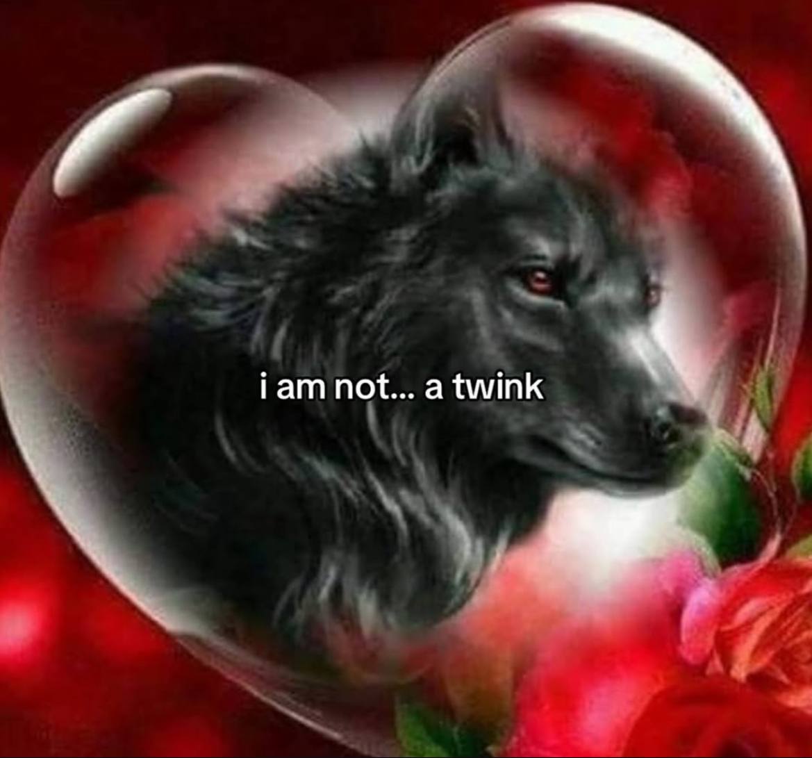 Гат по+... a twink 4