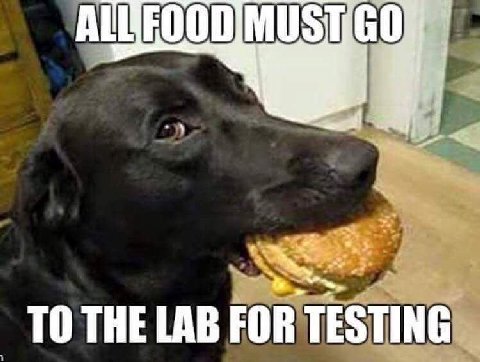 TO THE LAB FOR TESTING