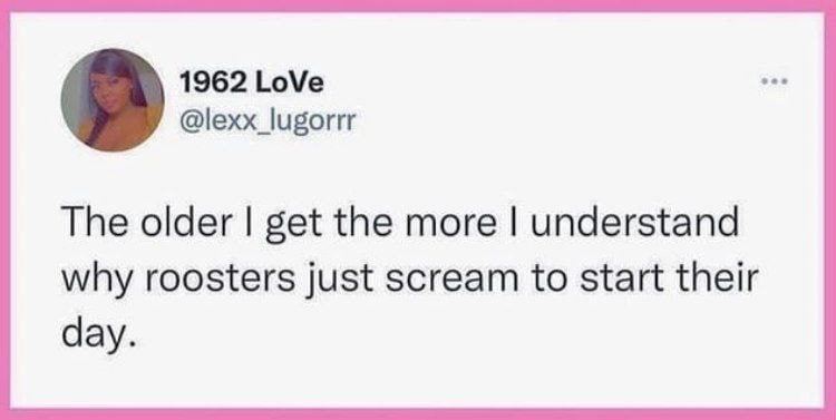 1962 LoVe @lexx_lugorrr в The older get the more understand why roosters just scream to start their day.