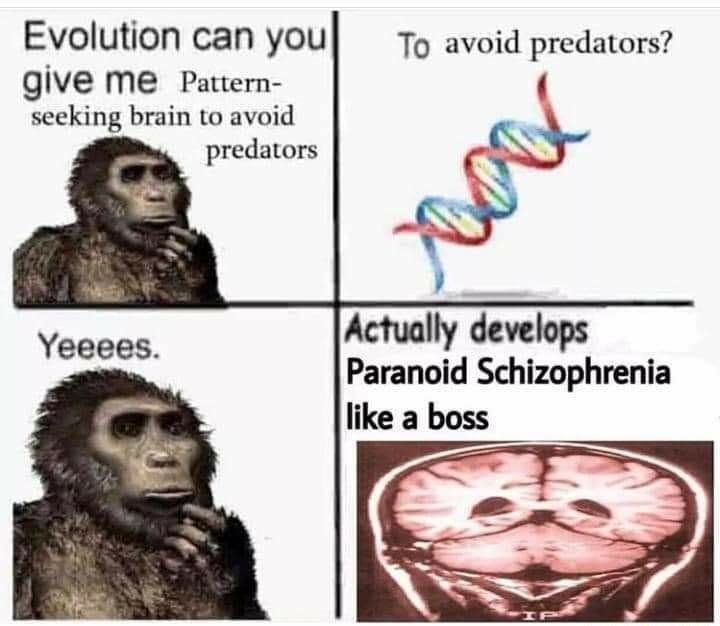 Evolution can you To avoid predators? give Pattern- seeking brain to avoid predators Yeeees. Actually develops Paranoid Schizophrenia like a boss