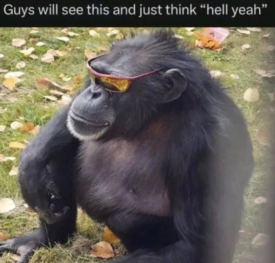 Guys will see this and just think “hell yeah” 4 а у